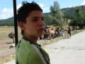 dand-DSC01751.JPG
