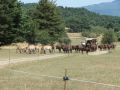 dand-DSC01752.JPG