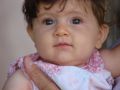dand-DSC01773.JPG
