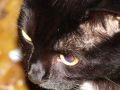 dand-DSC00006.JPG
