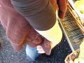 dand-DSC00548.JPG