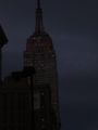 dand-100_1478.JPG