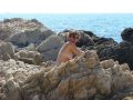 dand-DSC05059.JPG