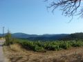 dand-DSC05183.JPG
